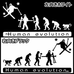 人類の進化 20cm【スキー編】アルペンステッカー1