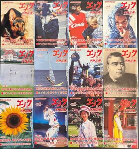 エノク ENOCH 国際時事情報誌 宇野正美著 1999年1月〜12月揃いセット No.190 - 201 株式会社エノク出版 政治/経済/外交/戦争/社会問題など