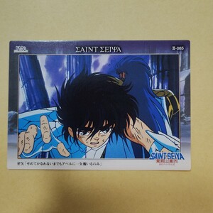 聖闘士星矢　CARD　カード　saintseiya セイントセイヤ⑲