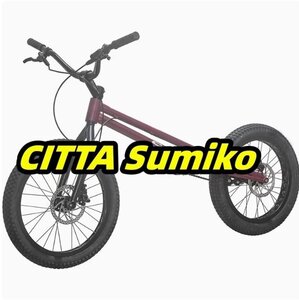 24インチ スタント用自転車 BMX 自転車 大人用 フロントおよびリアブレーキ付き Crmoフレームとフォーク パープル