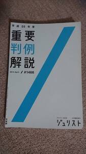 ・【裁断済】平成25年度 重要判例解説