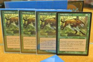 ＭＴＧ　Wild Mongrel 英英英英