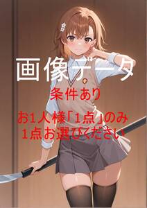 MMWR021 御坂 美琴(みかさ みこと)とある魔術の禁書目録 画像データ お一人様一点のみ(1円シリーズ全体で一点のみ) 