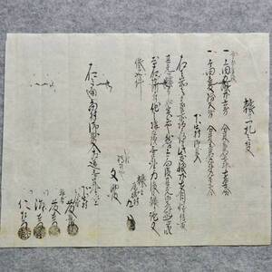 古文書 譲り一札之事 和泉國 日根郡 尾崎村 大阪府