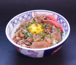 オリジナル牛丼１０パックセット 美味いぞ 即決有！