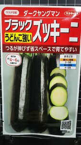 ３袋セット ブラック ズッキーニ ダークヤングマン 種 郵便は送料無料