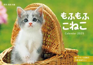 カレンダー2025 もふもふこねこ（月めくり/壁掛け） (インプレスカレンダー2025)