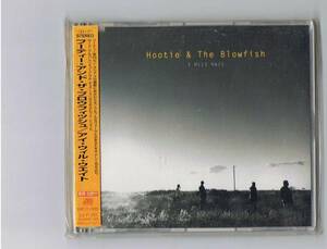 Hootie & The Blowfish- I Will Wait 