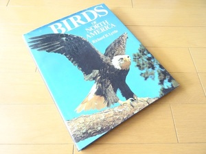 洋書◆北米の鳥 写真集 本 アメリカ 鷲 ワシ フクロウ ほか