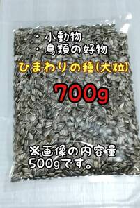 アメリカ産 ひまわりの種 700g 大粒 小動物 鳥類 ハムスターのおやつ インコ