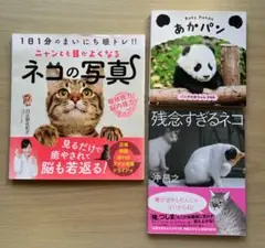 ニャンとも目がよくなるネコの写真★ 残念すぎるネコ★Baby Pandaあかパン