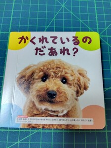 こどもちゃれんじぷちファースト　かくれているのだあれ?　1歳前後から　しまじろう