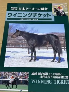 レア　ウイニングチケット　種牡馬　パンフレット　競馬　カタログ