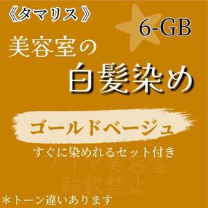 セール中☆タマリス ヘアカラー　白髪染めセット（ショート・メンズヘア用）ゴールドベージュ6