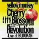 【中古】Cherry Blossom Revolution [DVD]