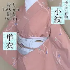単衣 小紋 洗える着物 化繊 芝草 鮫 桜 かわいい 160.5cm