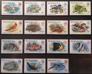 バミューダ 海洋生物(15種) MNH