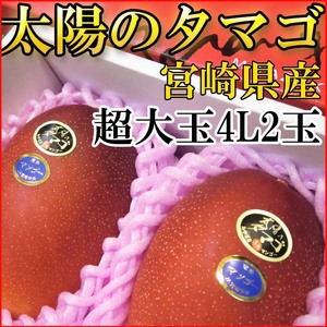 【Good】大量出品！すぐ発送！太陽のタマゴ 宮崎産 マンゴー 大玉4L2玉