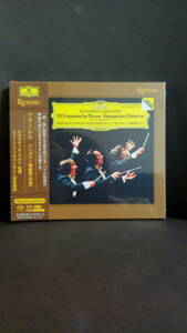 送料無料新品未使用ESOTERIC アバド Abbado ブラームス Brahms ハンガリー舞曲集 （全曲）エソテリック SACDhybrid ESSG-90200