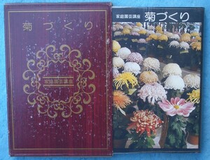 ★★菊づくり 家庭園芸講座3 主婦の友社