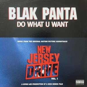 BLAK PANTA DO WHAT U WANT NEW JERSEY DRIVE Vol.1 SPIKE LEE 