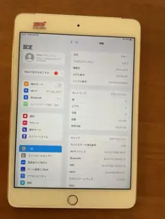 iPad mini4 128GB