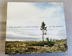 【洋書】The Oldest Living Things in the World / 世界最古の生物たち レイチェル・サスマン