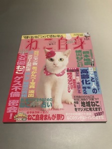 ねこ自身 2匹　ねこと人の「高齢化」を考える　「熊本地震」被災ねこたちのその後　地域ねこ　桜沢エリカ