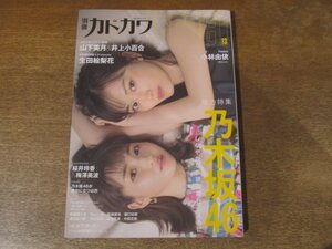 2412mn●別冊カドカワ Direct13/2018.6●総力特集:乃木坂46/山下美月＆井上小百合/小林由依/生田絵梨花/桜井玲香/梅澤美波/ボブ・ディラン