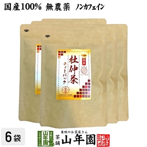 健康茶 国産100% 杜仲茶 国産 無農薬 長野県又は熊本県産 2g×30パック×6袋セット ティーバッグ ティーパック 送料無料