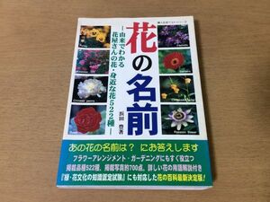 ●P545●花の名前●浜田豊●由来でわかる花屋さんの花身近な花522種●学名原産地耐寒性入手時期花色クレマチスガーベラバラコスモス●即決