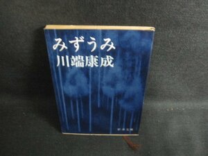 みずうみ　川端康成　日焼け有/KCA