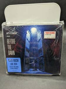 紙ジャケット KATE BUSH THE KT FELLOWSHIP PRESENTS BEFORE THE DAWN 輸入盤