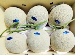 ☆高知産　約９，３Kg　　マスクメロン　6玉入り　　　☆美品 ☆