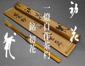 【茗】裏千家 八代 千 宗室 一燈(又玄斎) 造 竹 茶杓 「初花」 共筒 箱【常叟 宗旦 仙叟 利休 前田家 鵬雲 坐忘 斎 一灯】