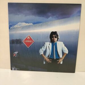 ■浜田省吾 PROMISED LAND ～ 約束の地 / LP (アナログレコード) ■