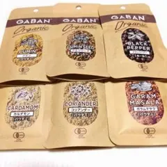 GABAN Organic スパイス6種