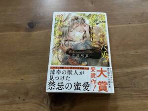 虐げられた兎は運命の番に略奪溺愛される 志波咲良