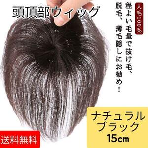 頭頂部 ウィッグ 部分かつら ヘアピース 自然 ブラック つけ毛 メンズ にも