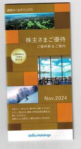 西武ホールディングス株主ご優待冊子　1,000株以上1冊　期限2025/5/31 まで（内野指定席引換券なし）