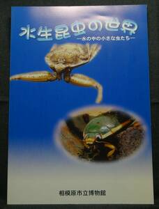 【超希少】【美品】古本　水生昆虫の世界　水の中の小さな虫たち　平成１１年度夏季特別展図録　相模原市立博物館