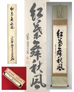 【千寿】大徳寺派 孤蓬庵 小堀卓厳 紅葉舞秋風 紙本 a192◆箱 茶道具 茶掛 時代品 掛軸 100016948