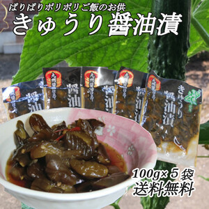 宮崎の漬物 きゅうり醤油漬 100g×5袋 ご飯のお供 宮崎県産きゅうり おにぎり おかず カレーライスの付合せ お茶うけに お酒の肴 送料無料