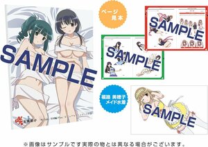 咲-Saki-全国編Plus ビジュアルファンブック 中巻 新品未開封 生産終了 プレミア 小林立 五十嵐あぐり シノハユ 怜-Toki- 阿知賀編 