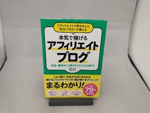 アフィリエイトで夢を叶えた元OLブロガーが教える 本気で稼げるアフィリエイトブログ 亀山ルカ