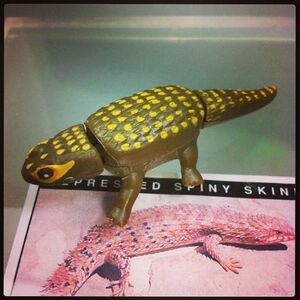 FIG-ken1894 ＹＯＷiＥ ヤウイ 1-48 Depressed Spiny Skink