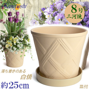 植木鉢 おしゃれ 安い 陶器 サイズ 24cm ハーブのかおり 8号 白焼 受皿付 室内 屋外 白 色