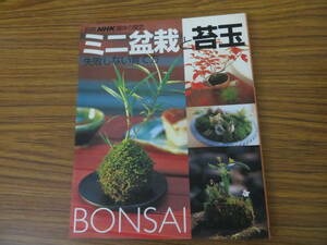 ミニ盆栽と苔玉 失敗しない育て方 (別冊NHK趣味の園芸)/39B