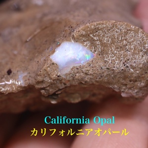 【送料無料】超希少！ カリフォルニア産 オパール 原石 鉱物 天然石 52.4g CAO113 パワーストーン