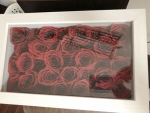 Kannax バラ　薔薇　ドライフラワー グランデ 外寸 H381 × W237 × D146mm 白地木目　79200円相当　酸化と紫外線からお花を守る構造　花